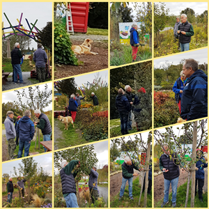 Workshop Obstbaumschnitt