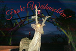 Weihnachtsgruss_1